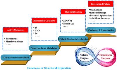 The Role of Nanomaterials in Modulating the Structure and Function of Biomimetic Catalysts